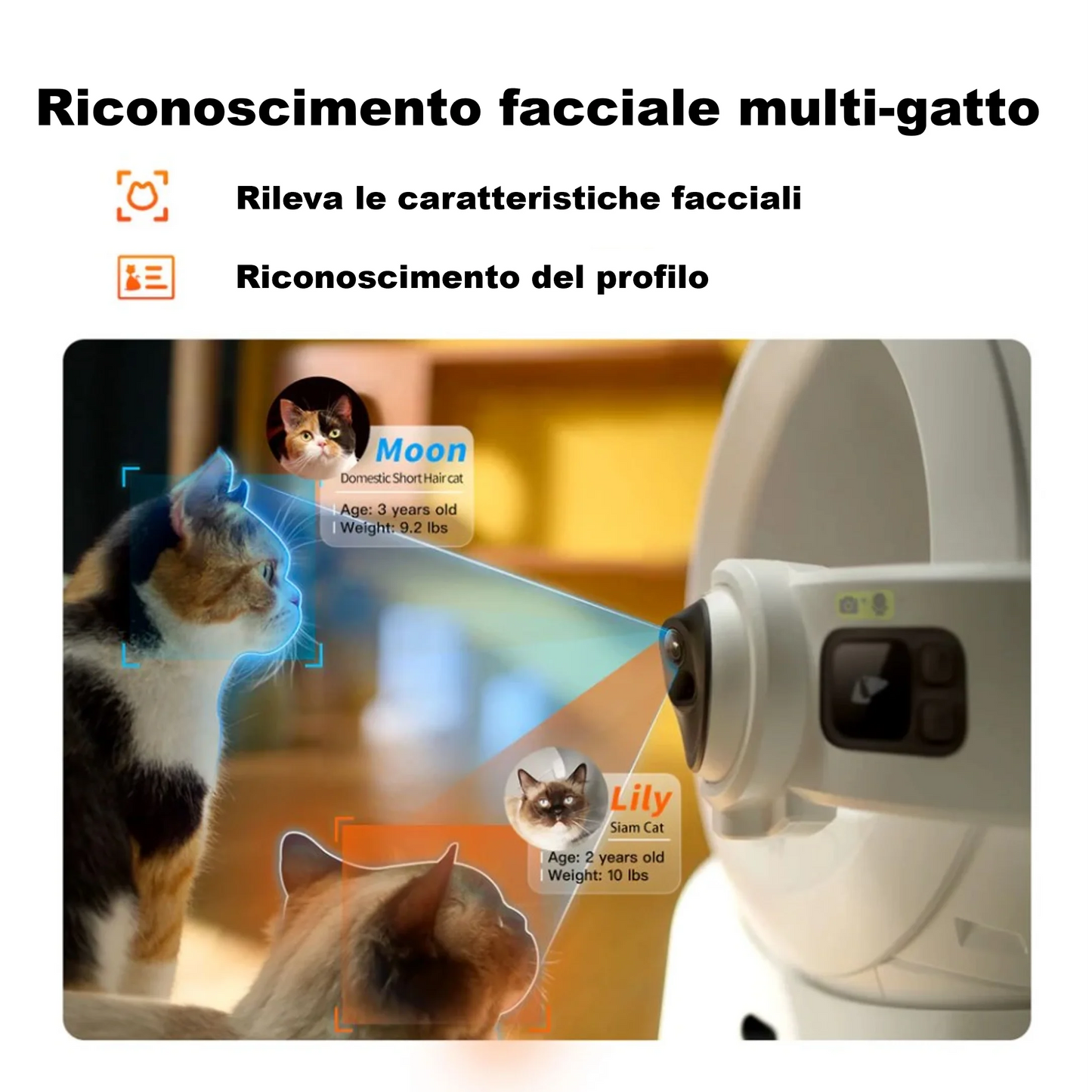 Automatic Self Cleaning Litter Box For Cats by Reinvent Yourself