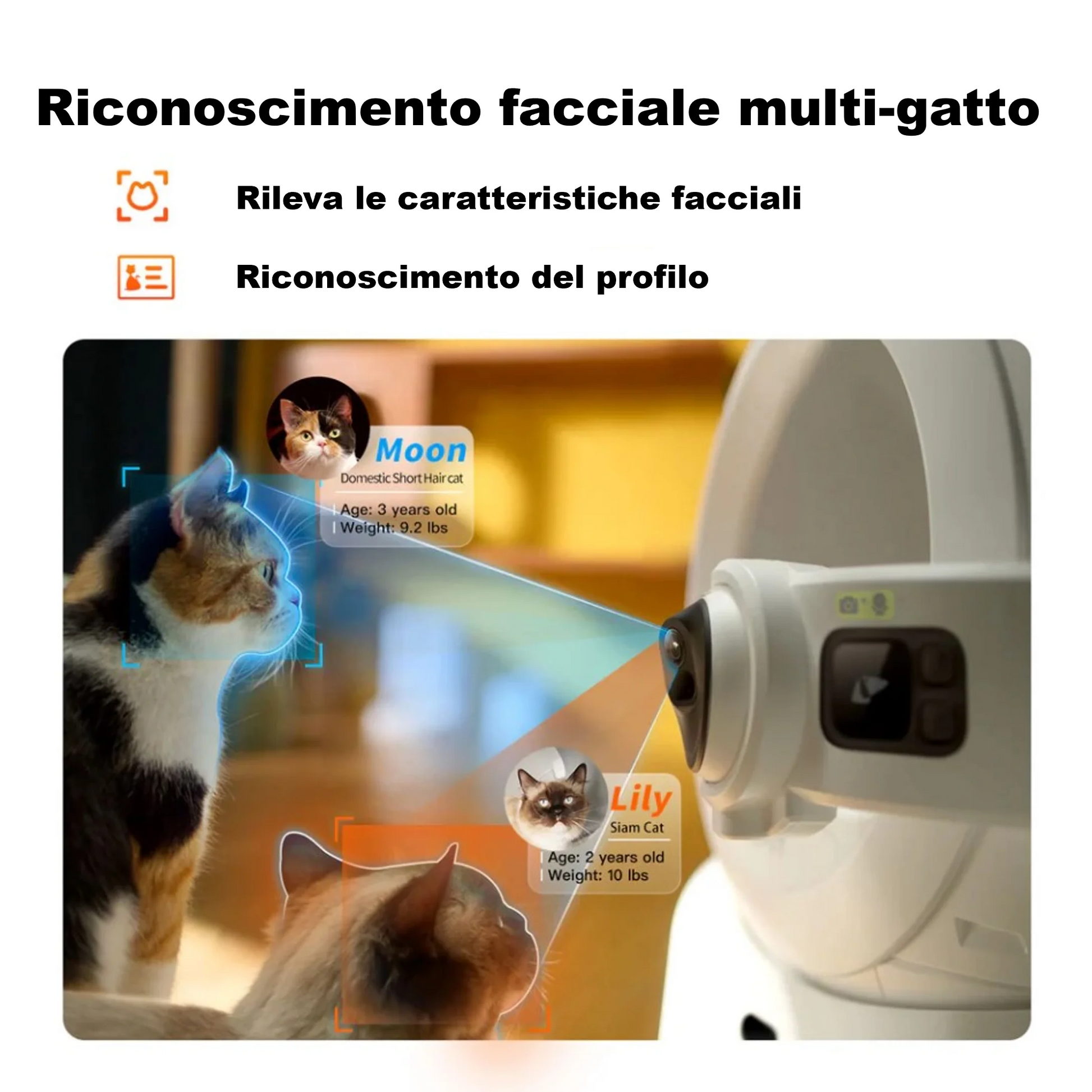 Automatic Self Cleaning Litter Box For Cats by Reinvent Yourself